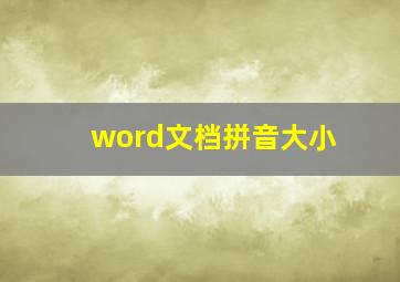 word文档拼音大小