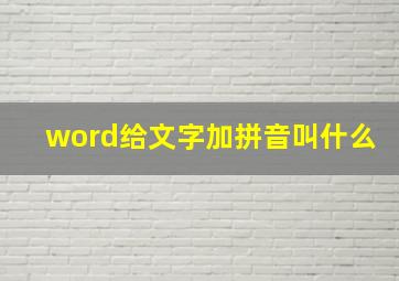 word给文字加拼音叫什么