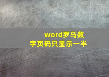 word罗马数字页码只显示一半