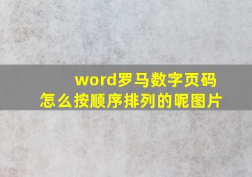 word罗马数字页码怎么按顺序排列的呢图片