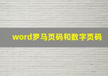 word罗马页码和数字页码