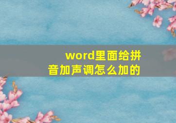 word里面给拼音加声调怎么加的