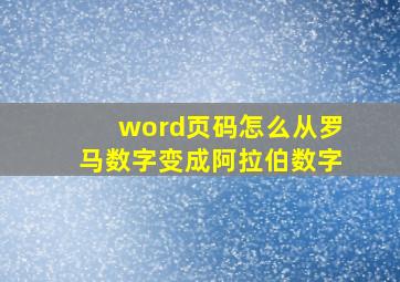 word页码怎么从罗马数字变成阿拉伯数字