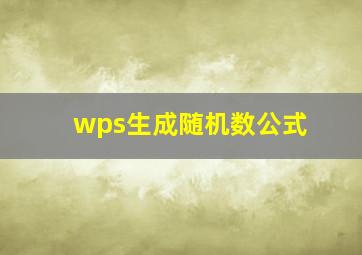 wps生成随机数公式