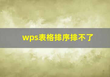 wps表格排序排不了