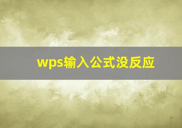 wps输入公式没反应