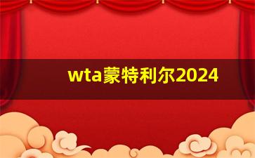 wta蒙特利尔2024