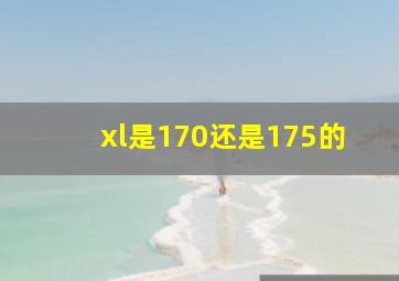 xl是170还是175的