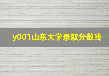 y001山东大学录取分数线