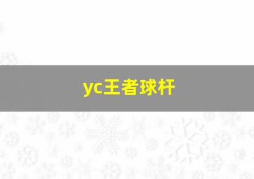 yc王者球杆