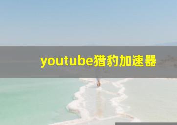 youtube猎豹加速器