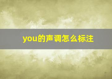 you的声调怎么标注