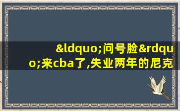 “问号脸”来cba了,失业两年的尼克·杨加盟浙江广厦