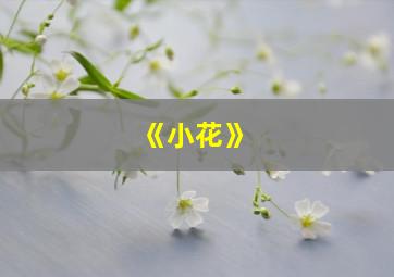 《小花》