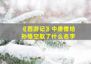 《西游记》中唐僧给孙悟空取了什么名字