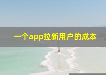 一个app拉新用户的成本