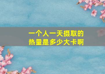 一个人一天摄取的热量是多少大卡啊