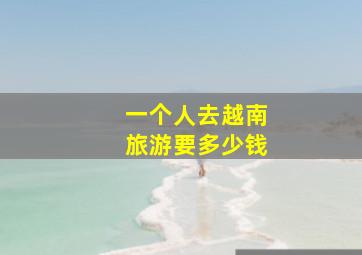 一个人去越南旅游要多少钱