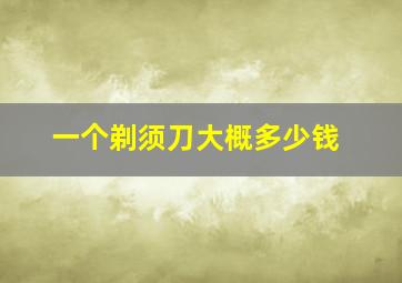 一个剃须刀大概多少钱