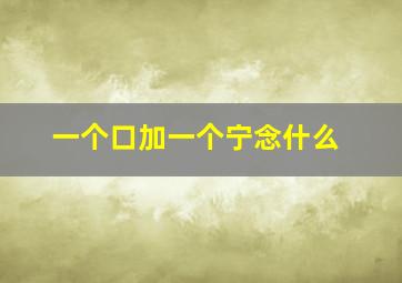 一个口加一个宁念什么