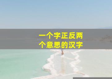 一个字正反两个意思的汉字