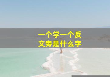 一个学一个反文旁是什么字