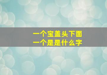 一个宝盖头下面一个是是什么字