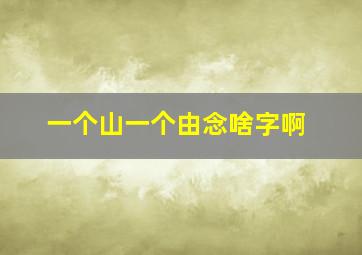 一个山一个由念啥字啊