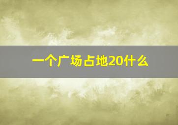 一个广场占地20什么