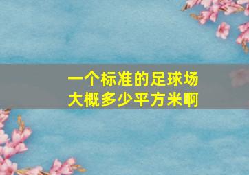 一个标准的足球场大概多少平方米啊