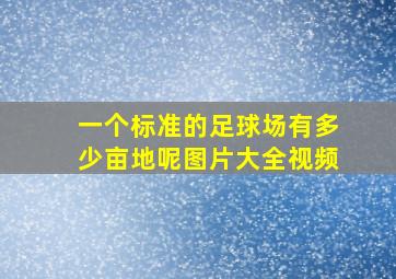 一个标准的足球场有多少亩地呢图片大全视频