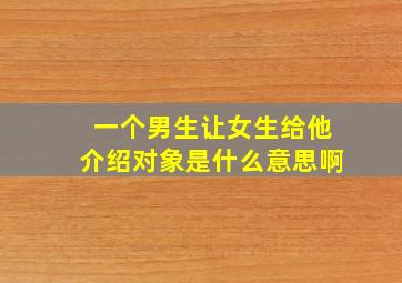 一个男生让女生给他介绍对象是什么意思啊