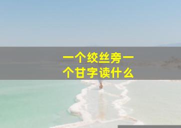 一个绞丝旁一个甘字读什么