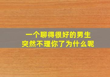 一个聊得很好的男生突然不理你了为什么呢