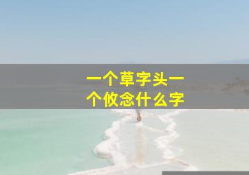 一个草字头一个攸念什么字