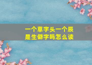 一个草字头一个辰是生僻字吗怎么读