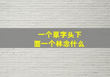 一个草字头下面一个林念什么