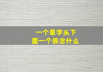 一个草字头下面一个辰念什么