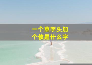 一个草字头加个攸是什么字