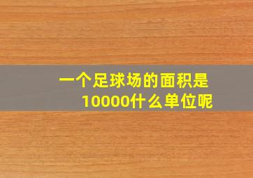 一个足球场的面积是10000什么单位呢