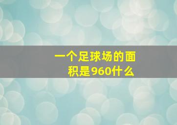 一个足球场的面积是960什么