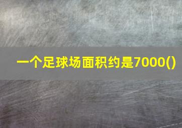 一个足球场面积约是7000()