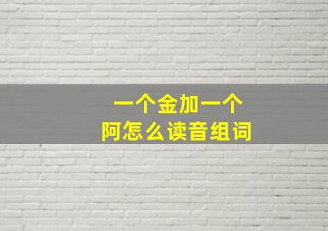 一个金加一个阿怎么读音组词