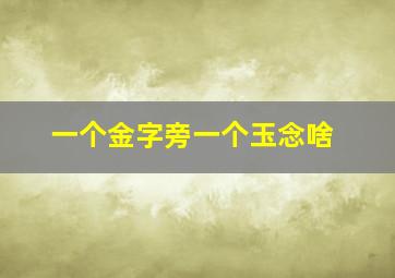 一个金字旁一个玉念啥