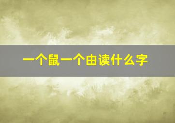 一个鼠一个由读什么字