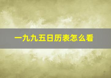 一九九五日历表怎么看