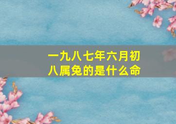 一九八七年六月初八属兔的是什么命