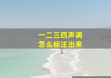 一二三四声调怎么标注出来