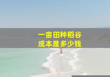 一亩田种稻谷成本是多少钱