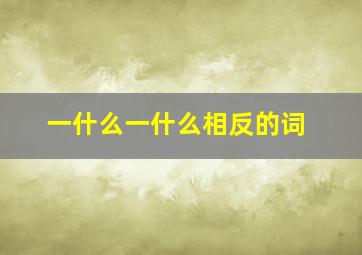 一什么一什么相反的词